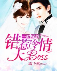 一醉成婚：错惹冷情大boss