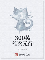 300英雄次元行